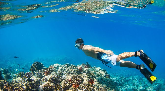 Rekomendasi Wisata Tempat Snorkeling Terbaik di Jawa Timur